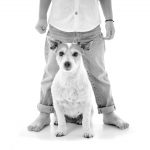 photo avec un chien