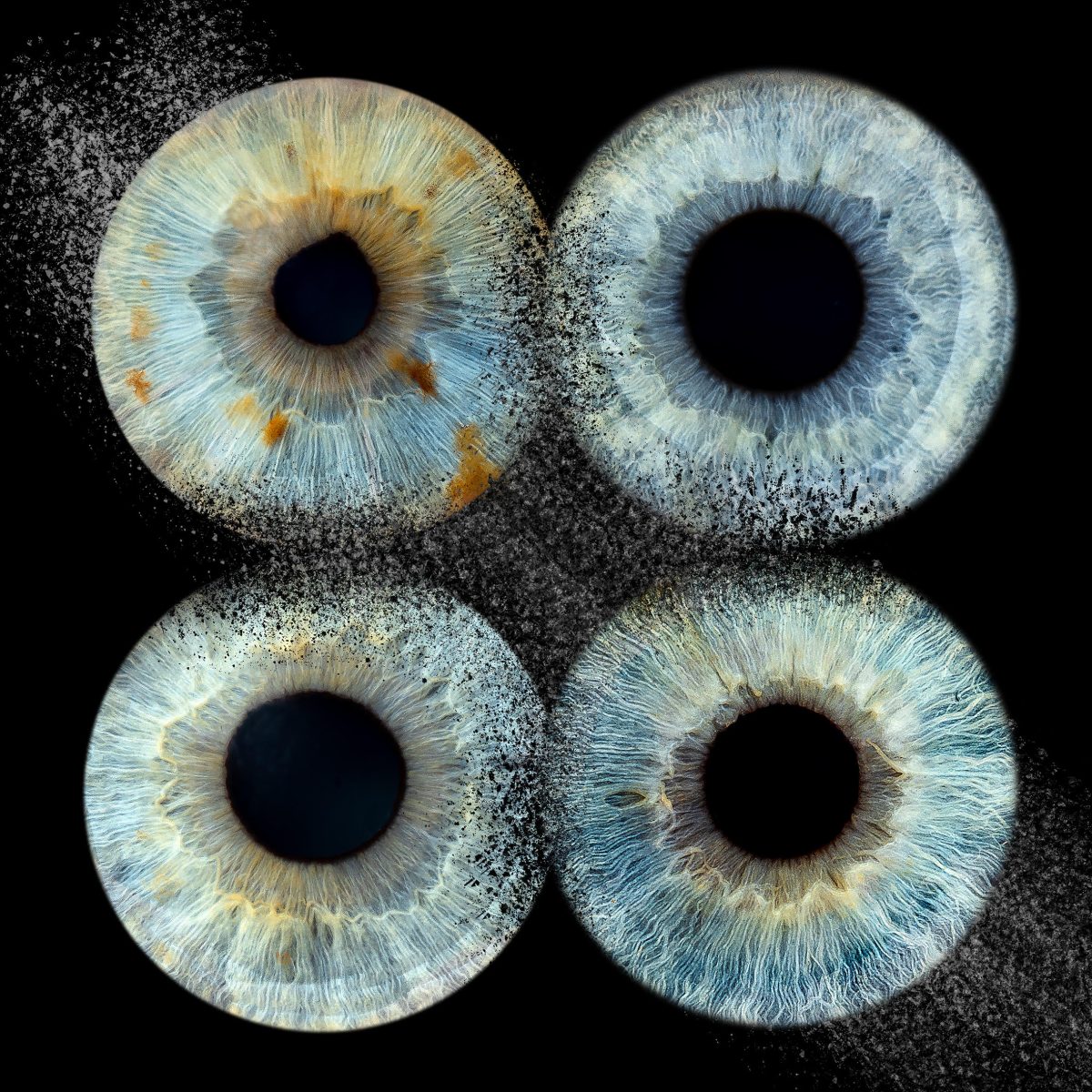 4-iris 4-iris