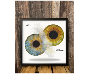 2 iris photo oeil ardennes