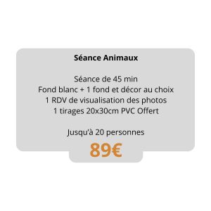 séance animaux studio althyc