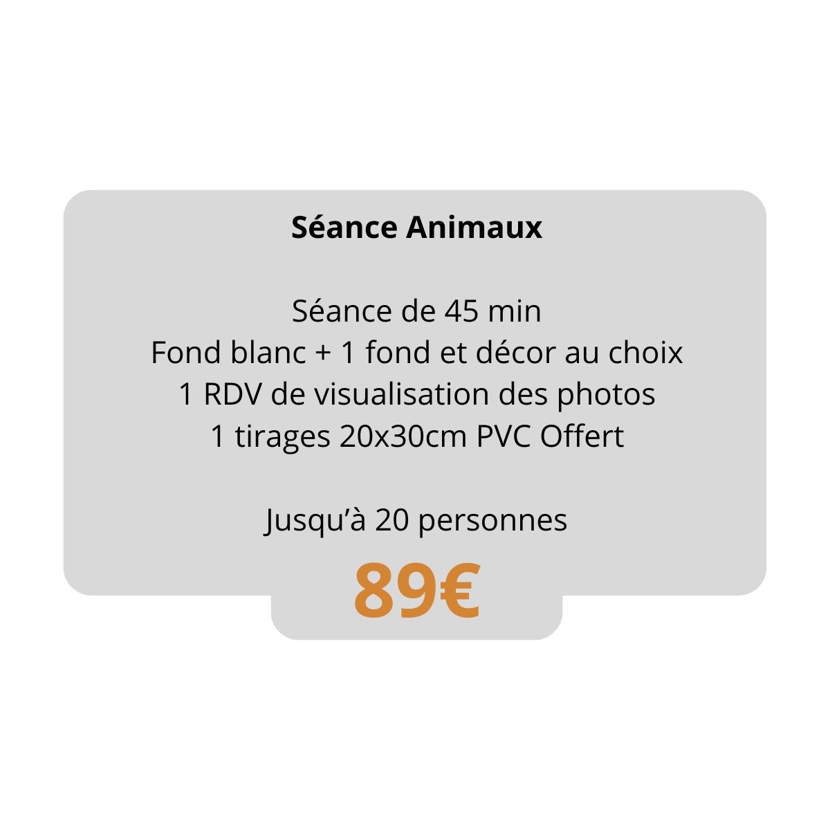 séance animaux studio althyc